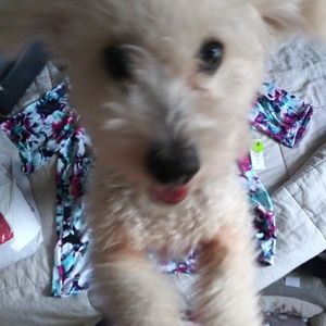 Meet your Posher, Mayra